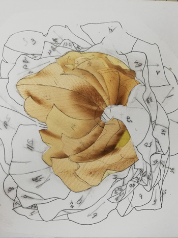 Peonies & Redstart - Wood Art HAS 木象嵌作家 蓮尾 知子